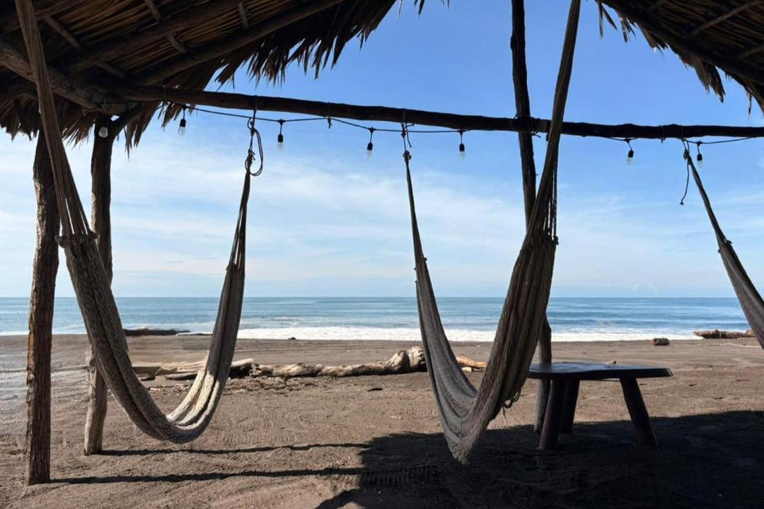 Photo of Others in Monterrico