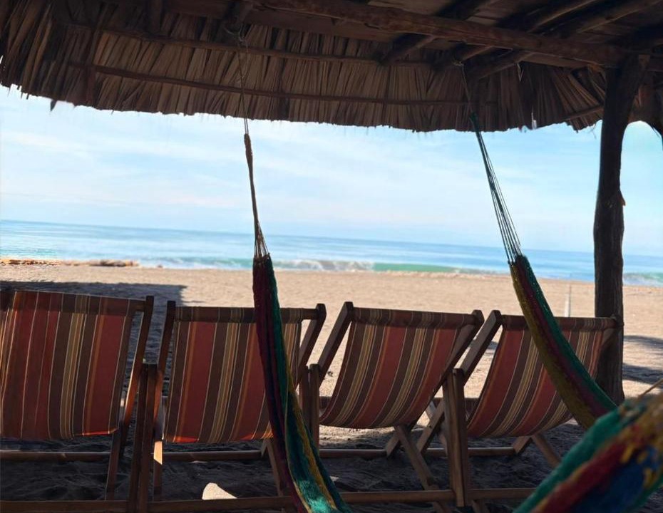 Photo of Others in Monterrico