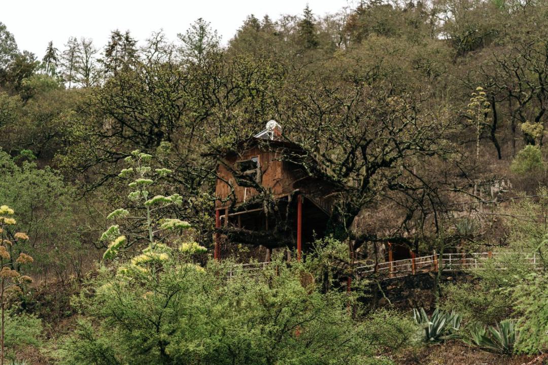 Photo of Others in Zimapan