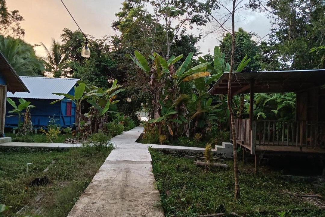 Photo of Others in Puerto Barrios