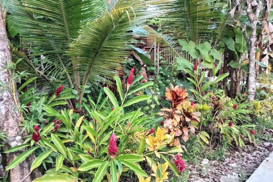 Photo of Others in Puerto Barrios
