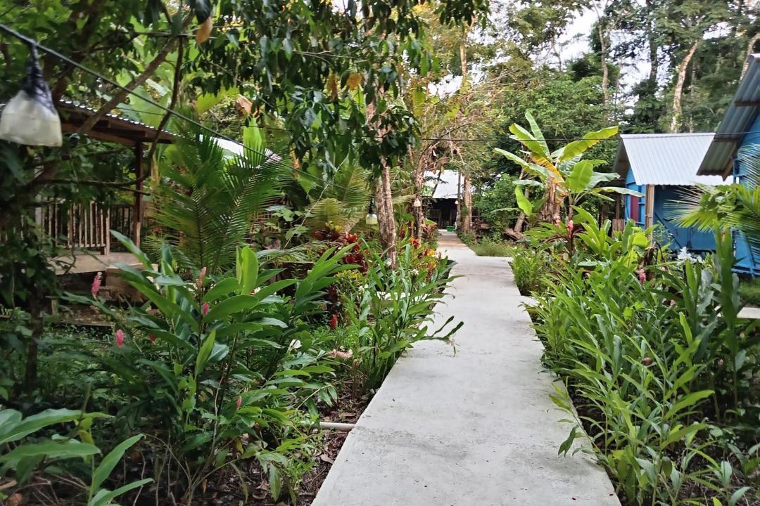 Photo of Others in Puerto Barrios