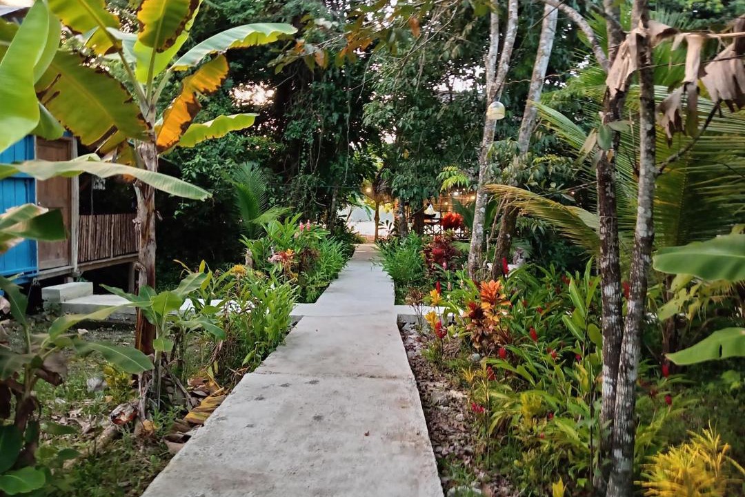 Photo of Others in Puerto Barrios