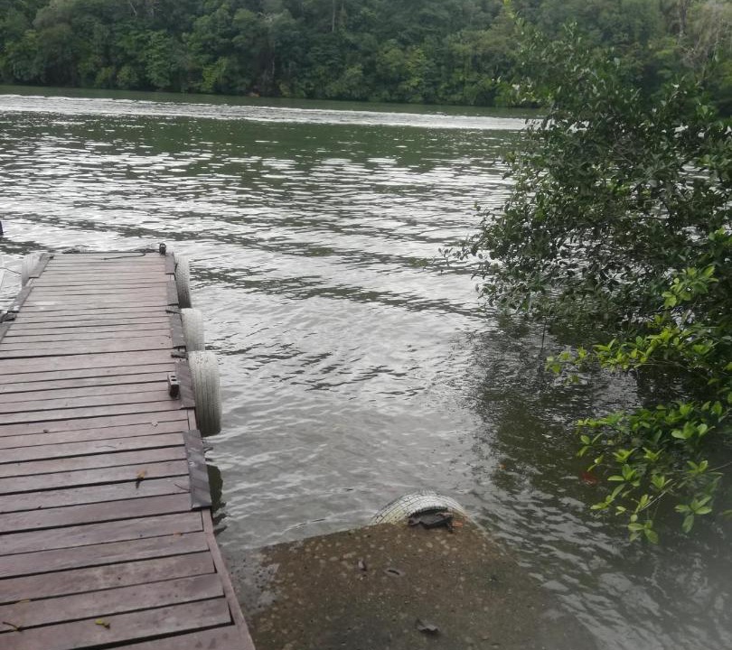 Photo of Others in Puerto Barrios