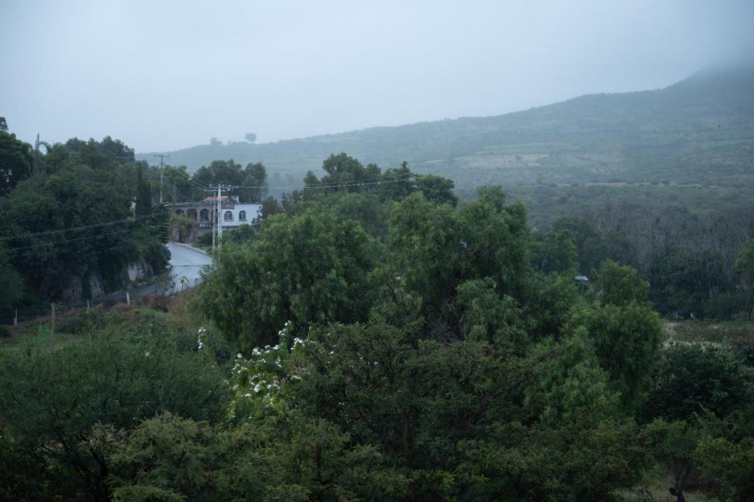 Photo of Others in Huimilpan