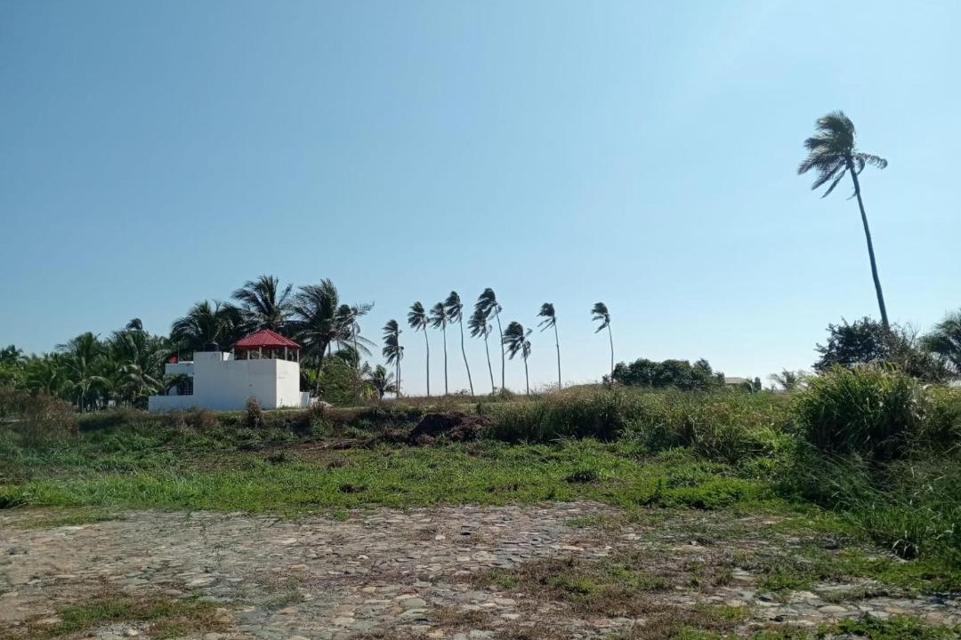 Photo of Others in Las Calabazas