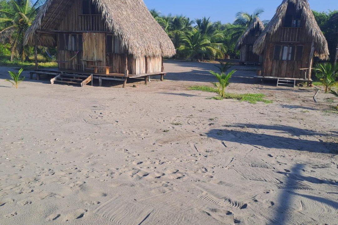 Photo of Others in Tonala