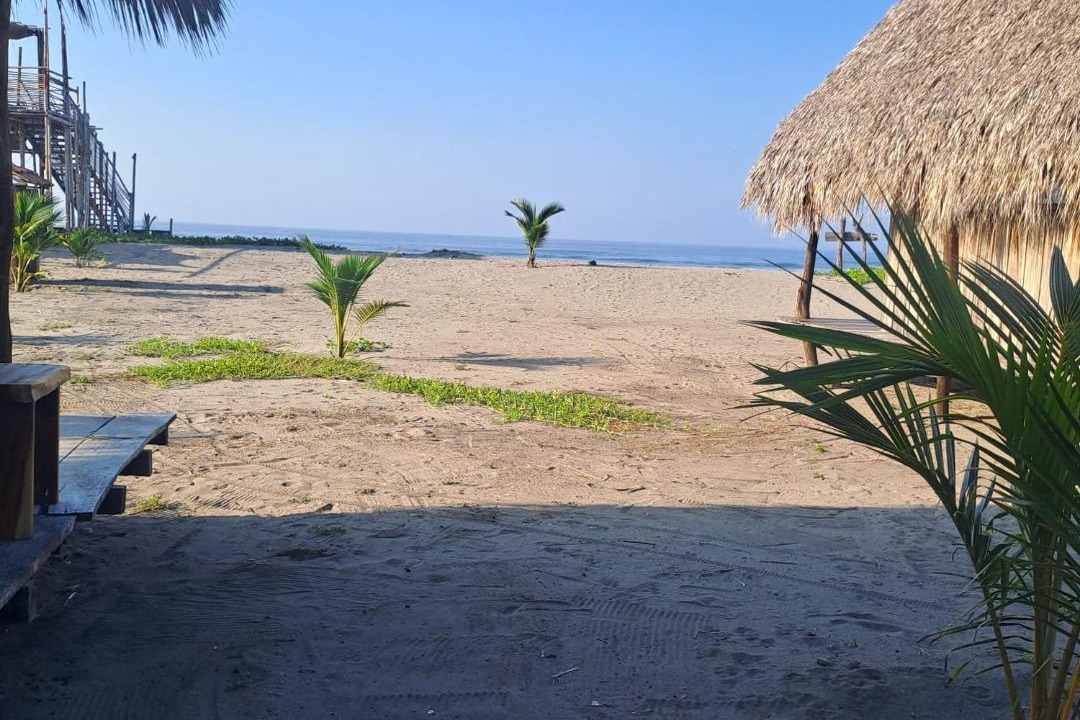 Photo of Others in Tonala