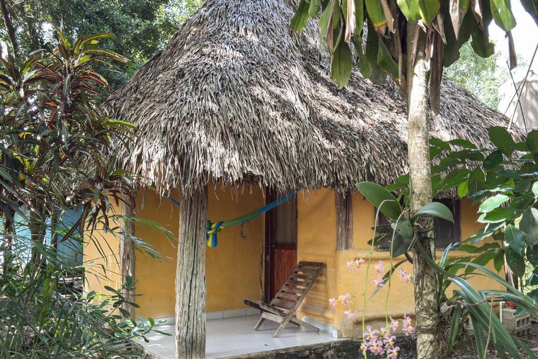 Photo of Others in Conhuas