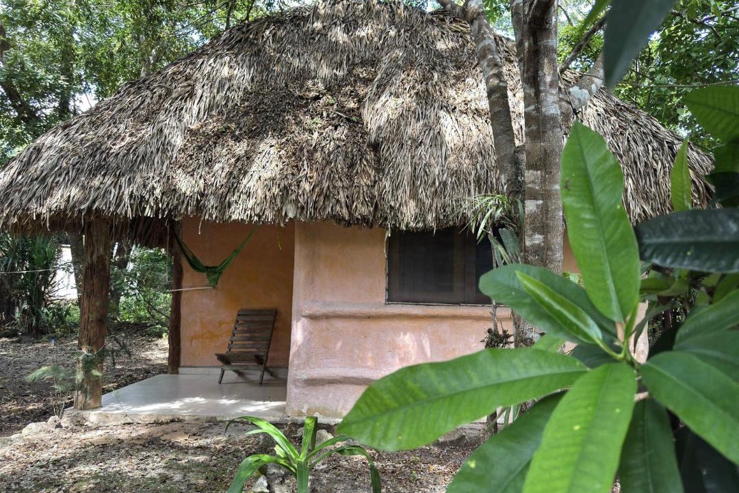 Photo of Others in Conhuas