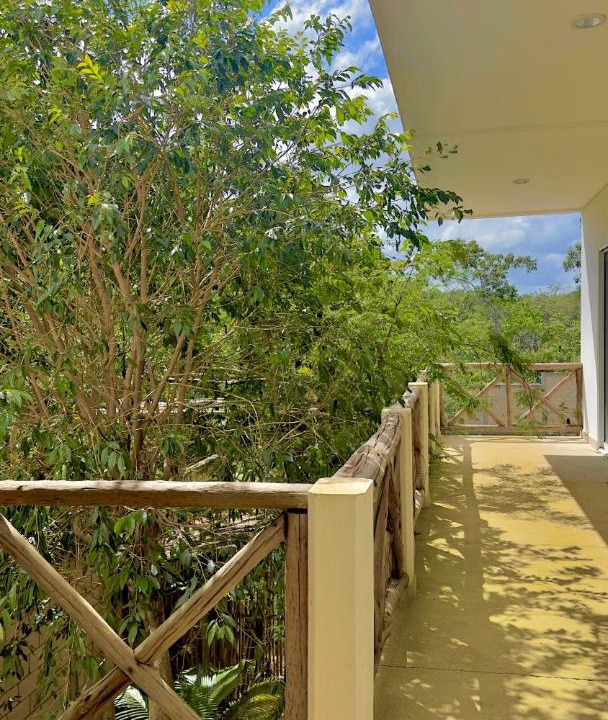 Photo of Others in Tulum