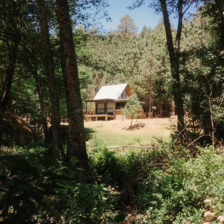 Photo of Others in San Jose del Pacifico