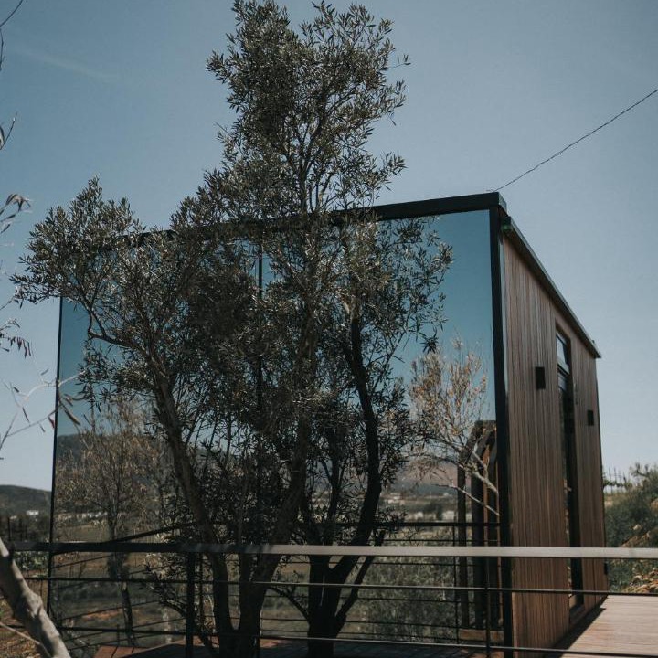 Photo of Others in Valle de Guadalupe