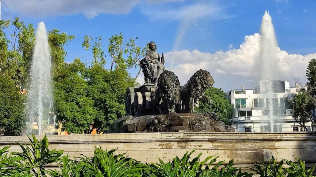 Photo of Others in La Condesa