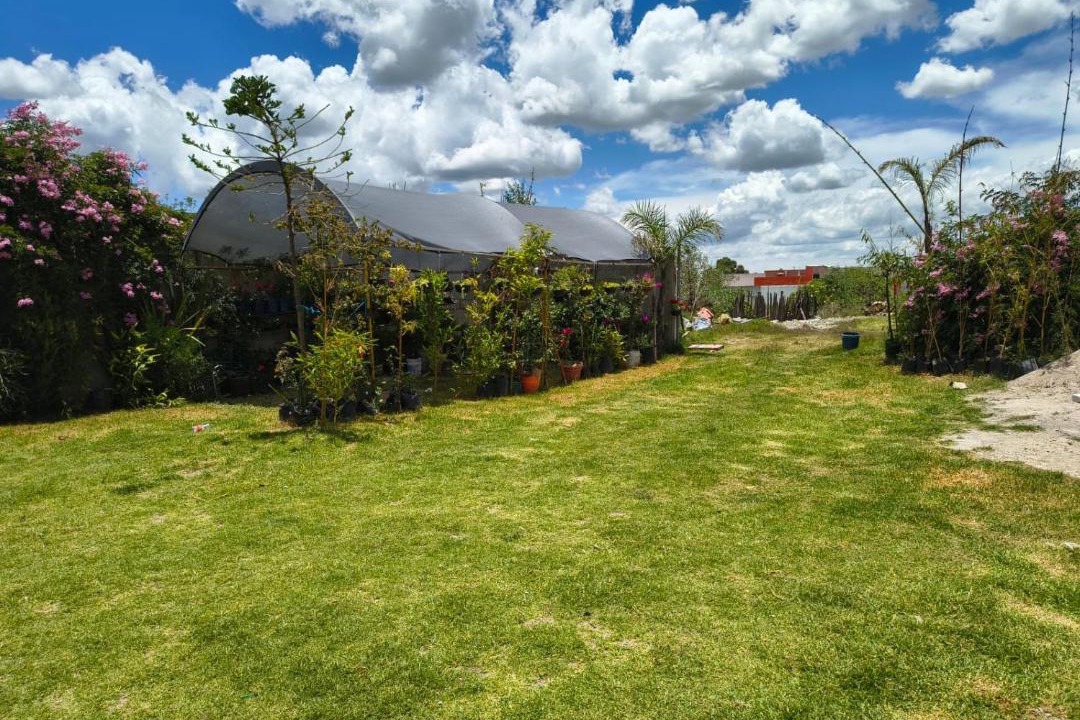 Photo of Outdoor in Huamantla
