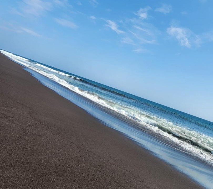 Photo of Others in Pacific Coast