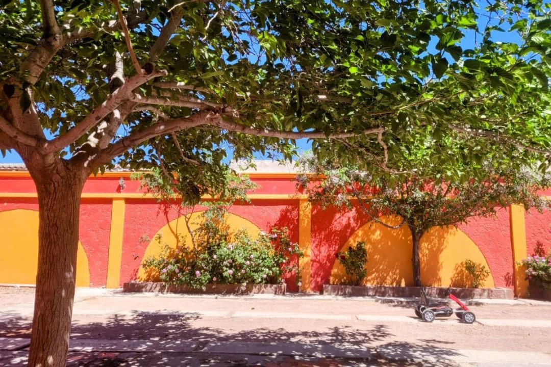 Photo of Others in Ciudad Juarez