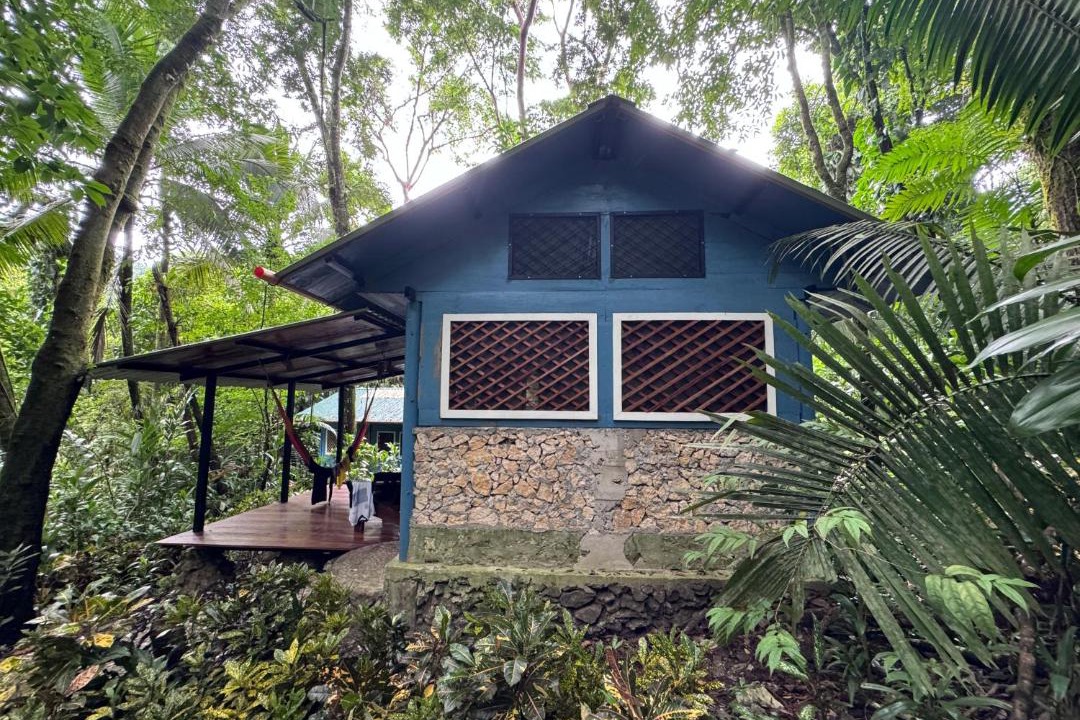 Photo of Others in Puerto Barrios