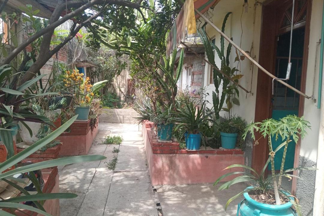 Photo of Others in Oaxaca