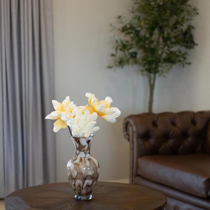 Photo of Livingroom in Valle de Guadalupe
