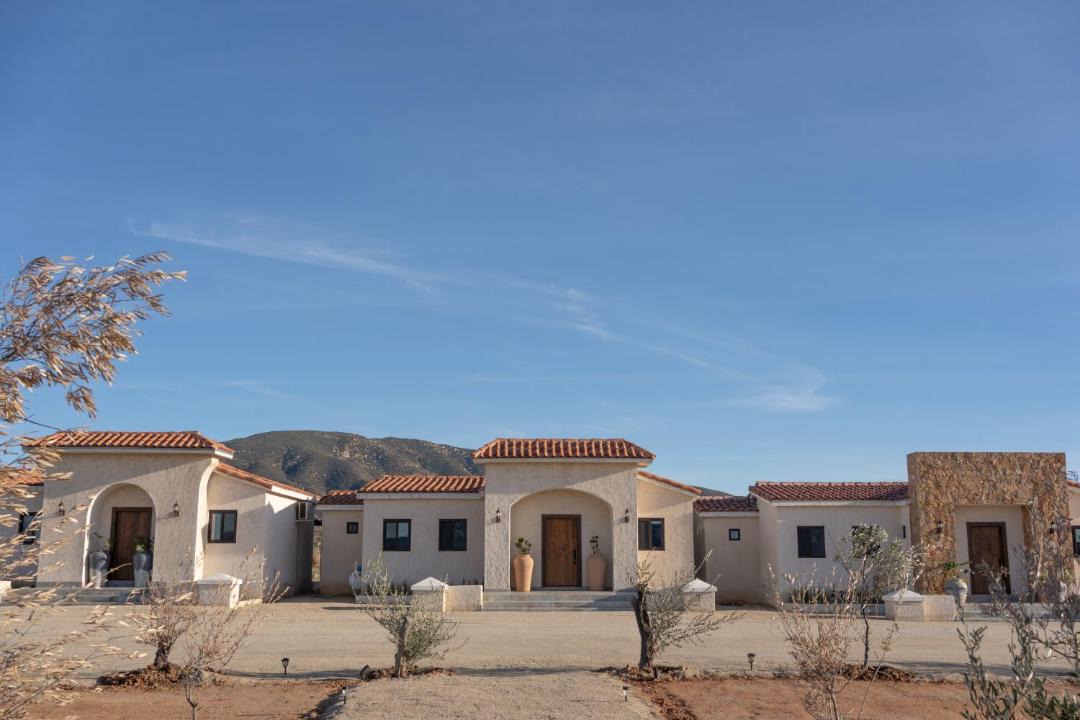 Photo of Others in Valle de Guadalupe
