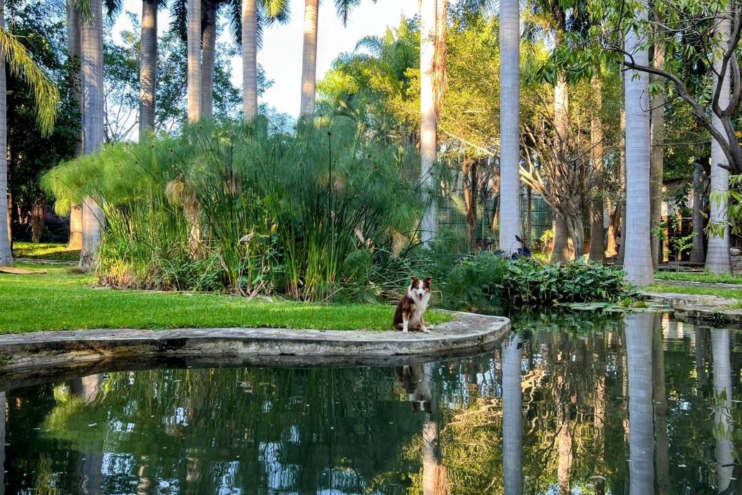 Photo of Others in Xochitepec