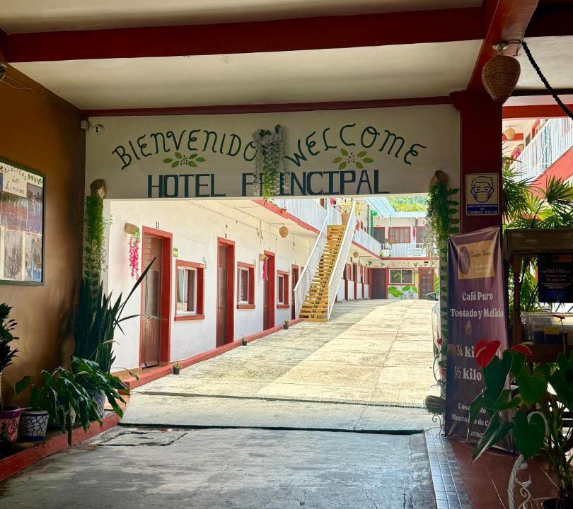 Photo of Others in Coatepec