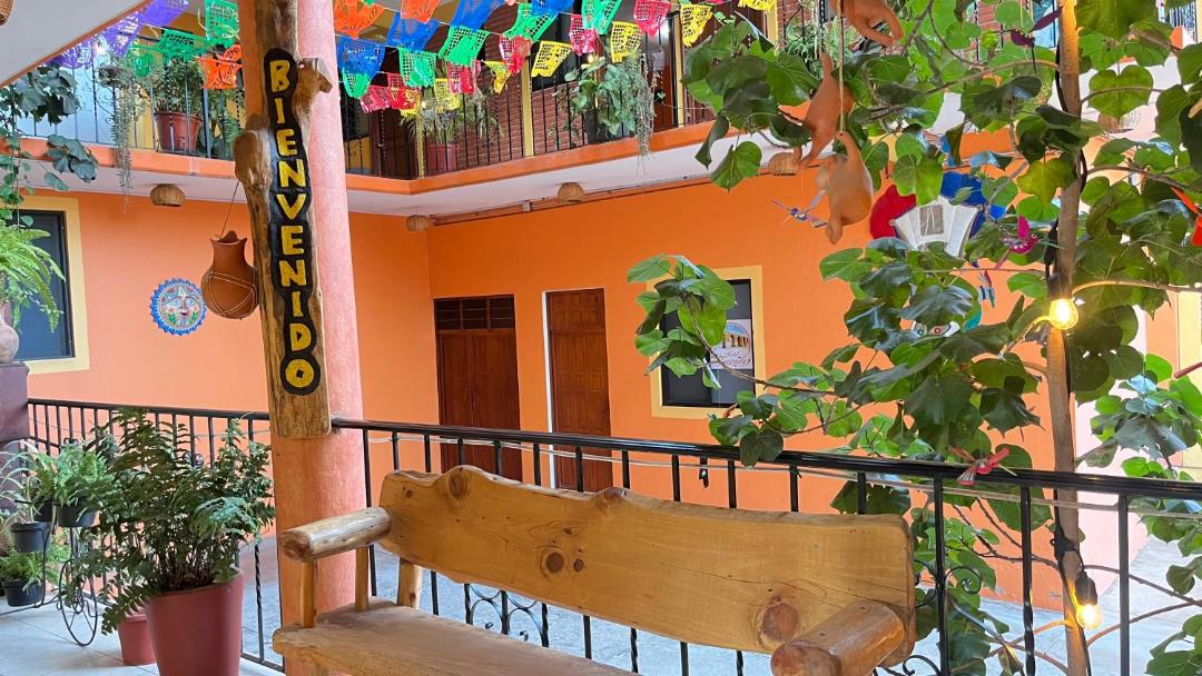 Photo of Others in Oaxaca