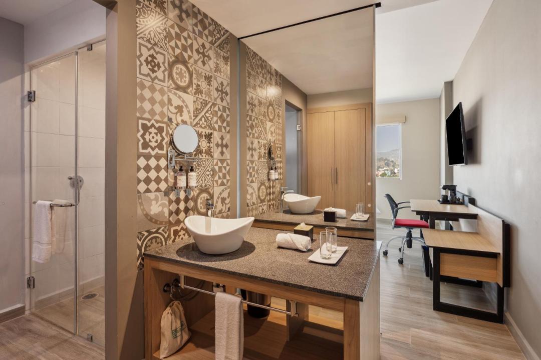 Photo of Bathroom in Delegacion San Lorenzo Tepaltitlan I
