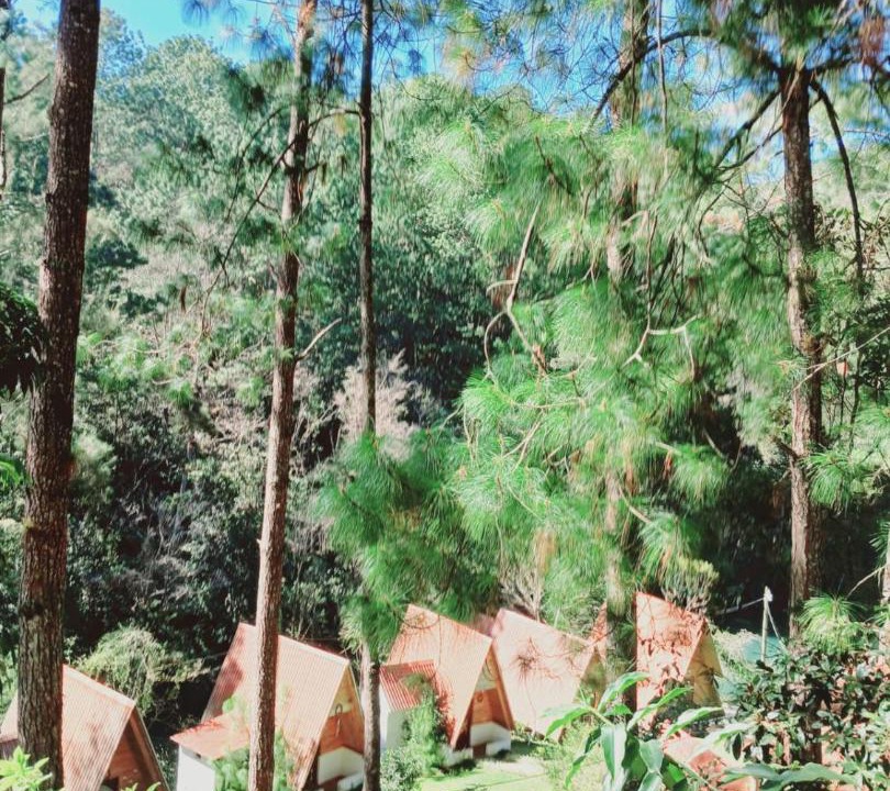 Photo of Others in Santa Cruz Verapaz