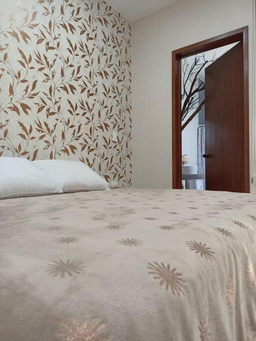Photo of Bedroom in Atlixco