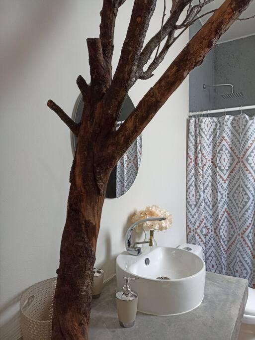 Photo of Bathroom in Atlixco