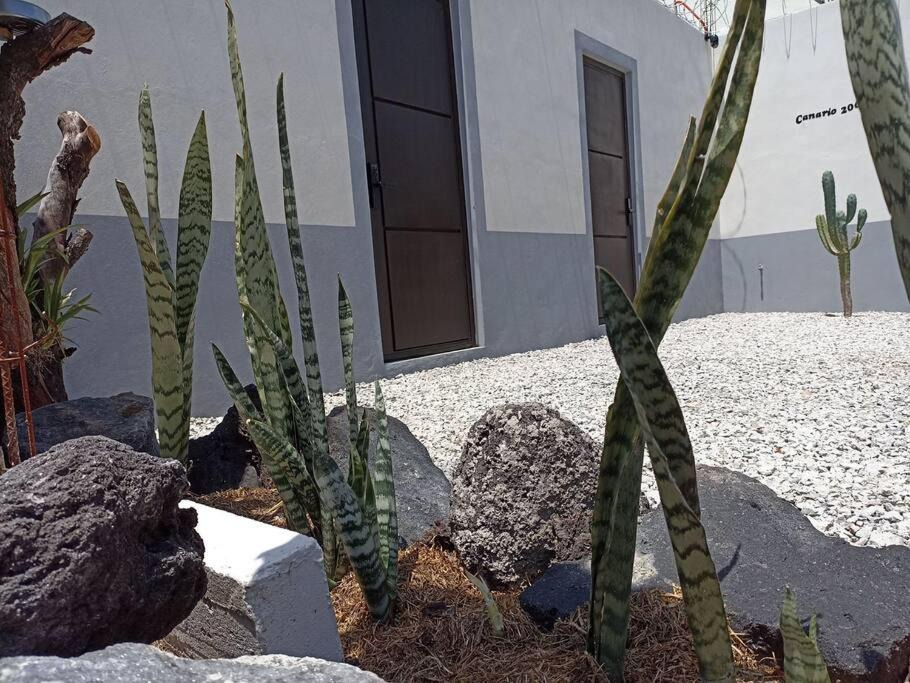 Photo of Others in Atlixco