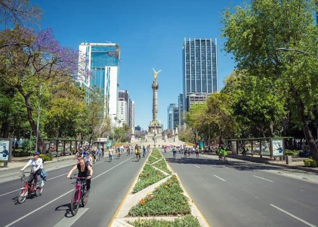 Photo of Others in Benito Juarez