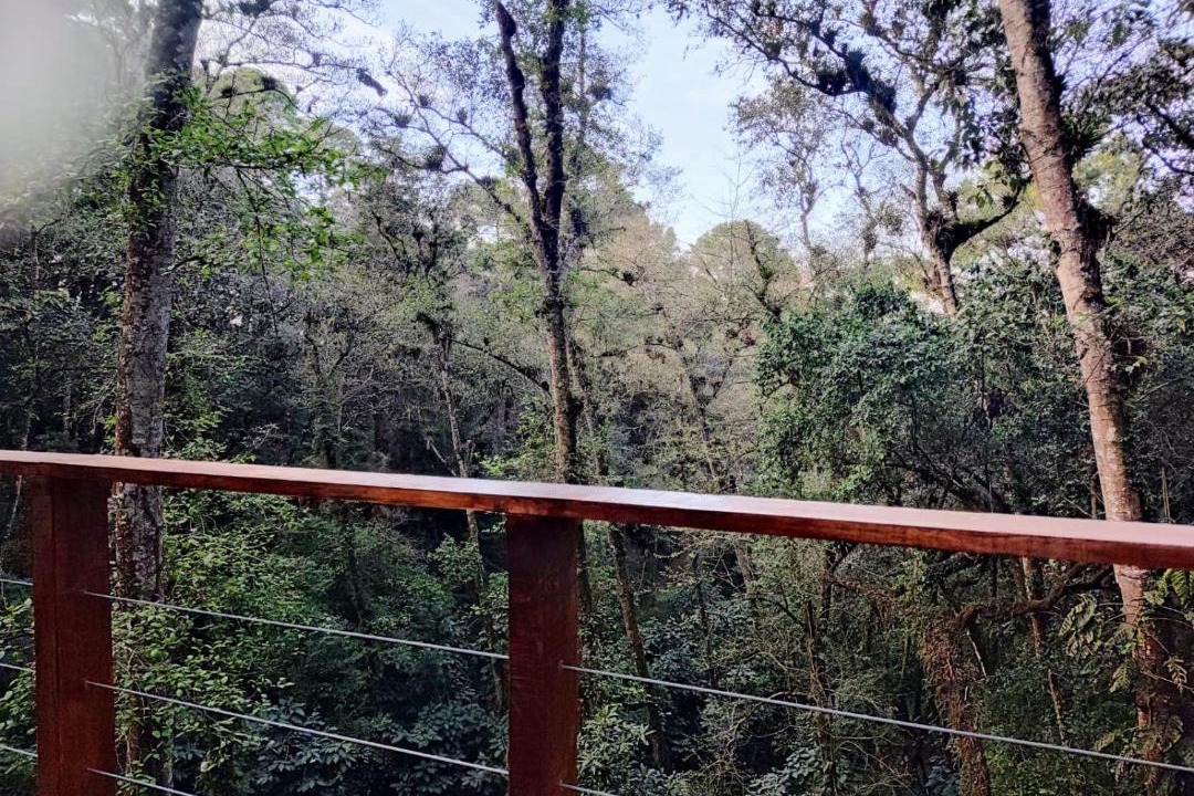 Photo of Others in Santa Catarina Barahona