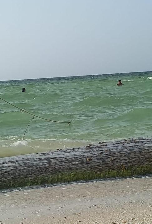 Photo of Others in Chicxulub Puerto