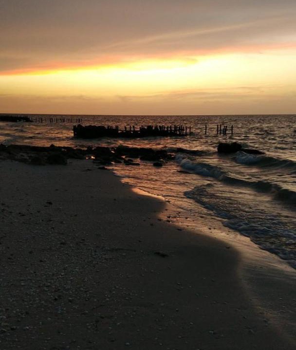 Photo of Others in Chicxulub Puerto