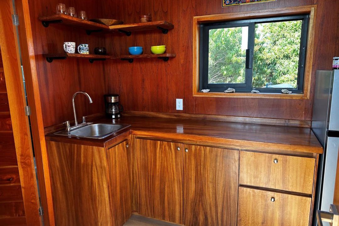 Photo of Kitchen in Saladita