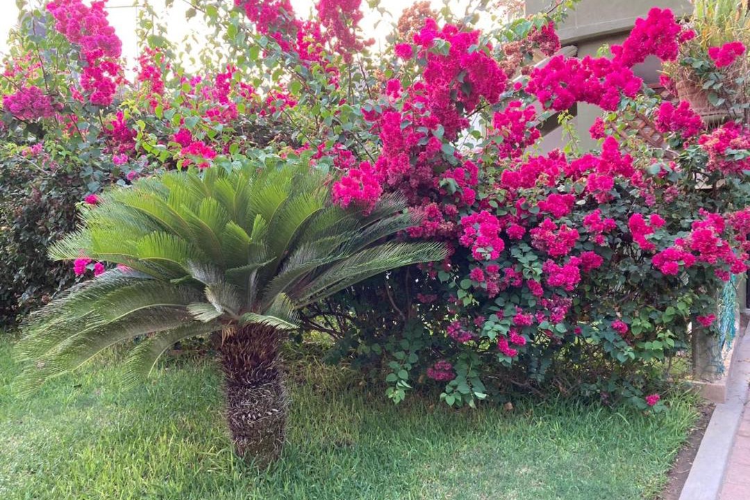 Photo of Outdoor in Brisas de Zicatela
