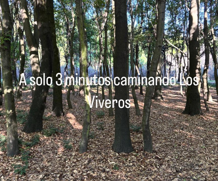 Photo of Others in Santa Catarina