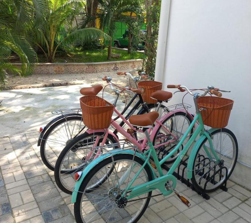 Photo of Others in Ejidal