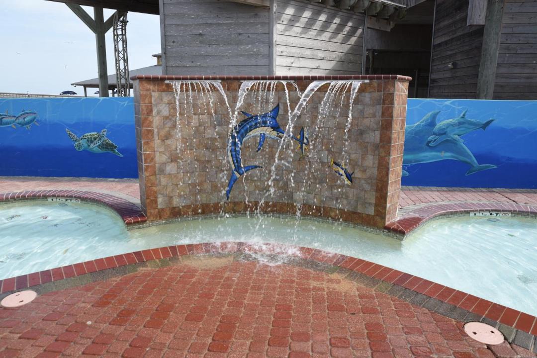 Photo of Others in South Padre Island