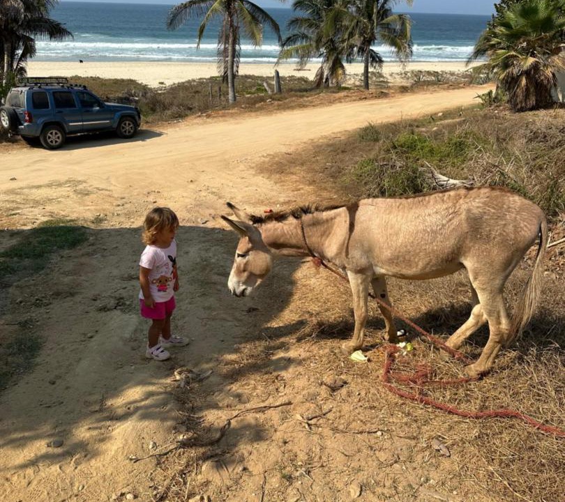 Photo of Others in Santa Maria Tonameca