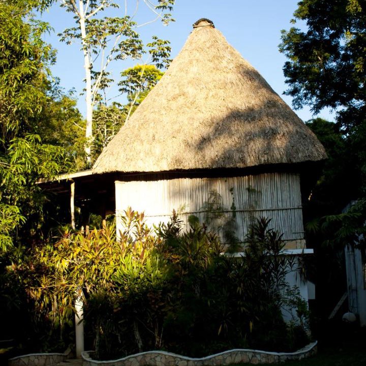 Photo of Others in Tikal National Park