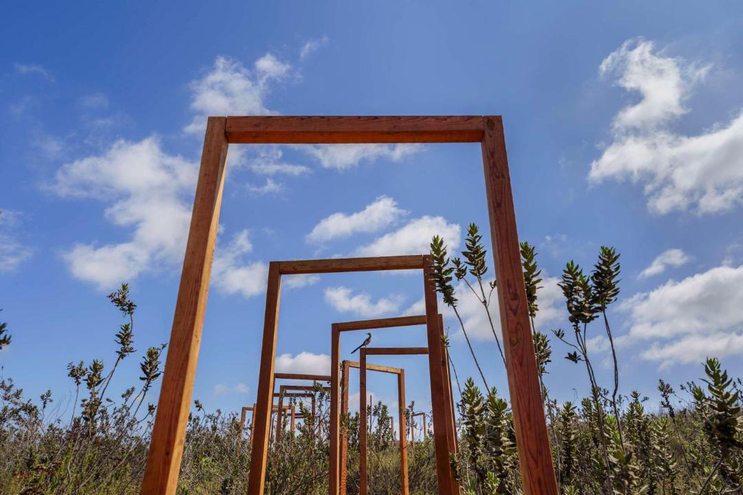 Photo of Others in Valle de Guadalupe