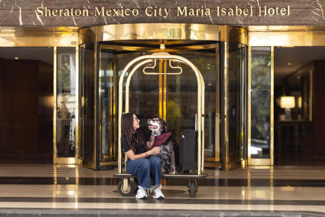 Photo of Others in Colonia Cuauhtemoc