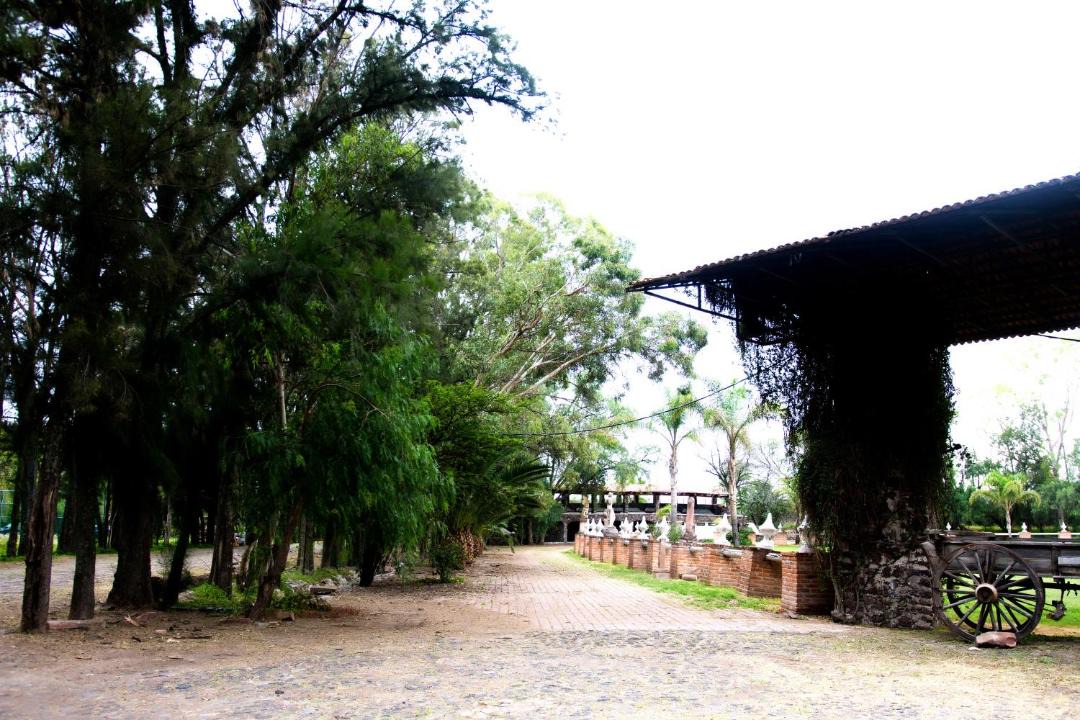 Photo of Others in San Isidro del Llanito