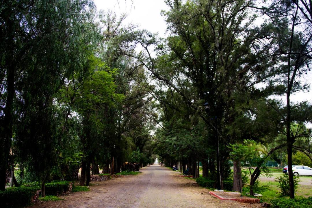 Photo of Others in San Isidro del Llanito
