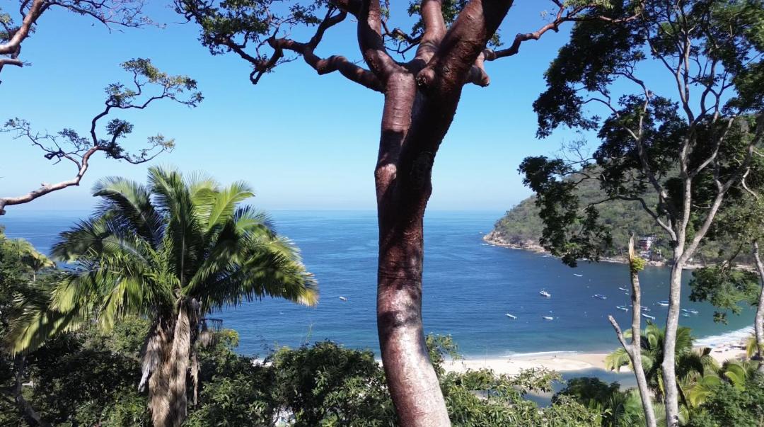 Photo of Others in Yelapa