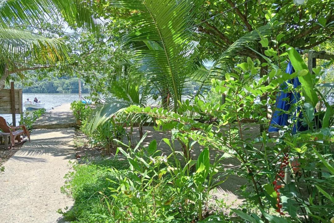 Photo of Others in Puerto Barrios